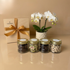 Collection Golden Snack – Figues et dattes