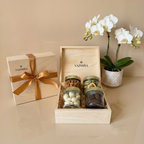 Gouden Snackcollectie – Kokosnoot & Honing